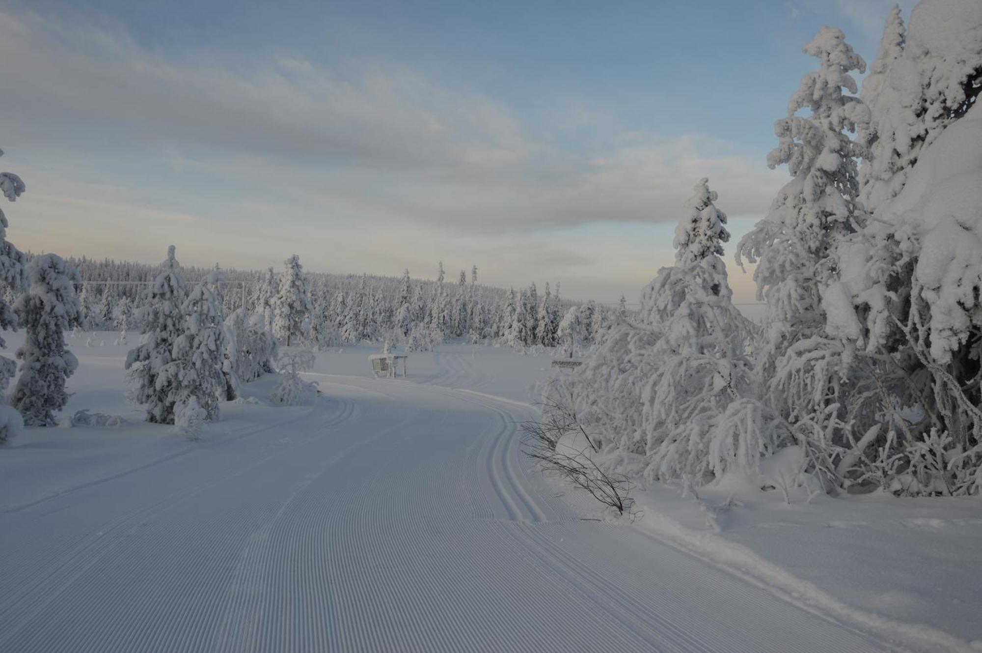Hytte Anno 1721 Uten Internett, Strom, Vann - Men Med Rodmalt Utedo Ljordal ภายนอก รูปภาพ