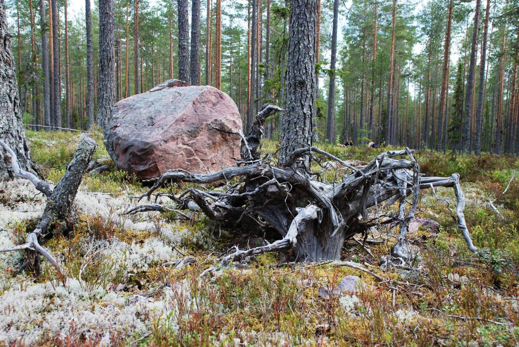 Hytte Anno 1721 Uten Internett, Strom, Vann - Men Med Rodmalt Utedo Ljordal ภายนอก รูปภาพ