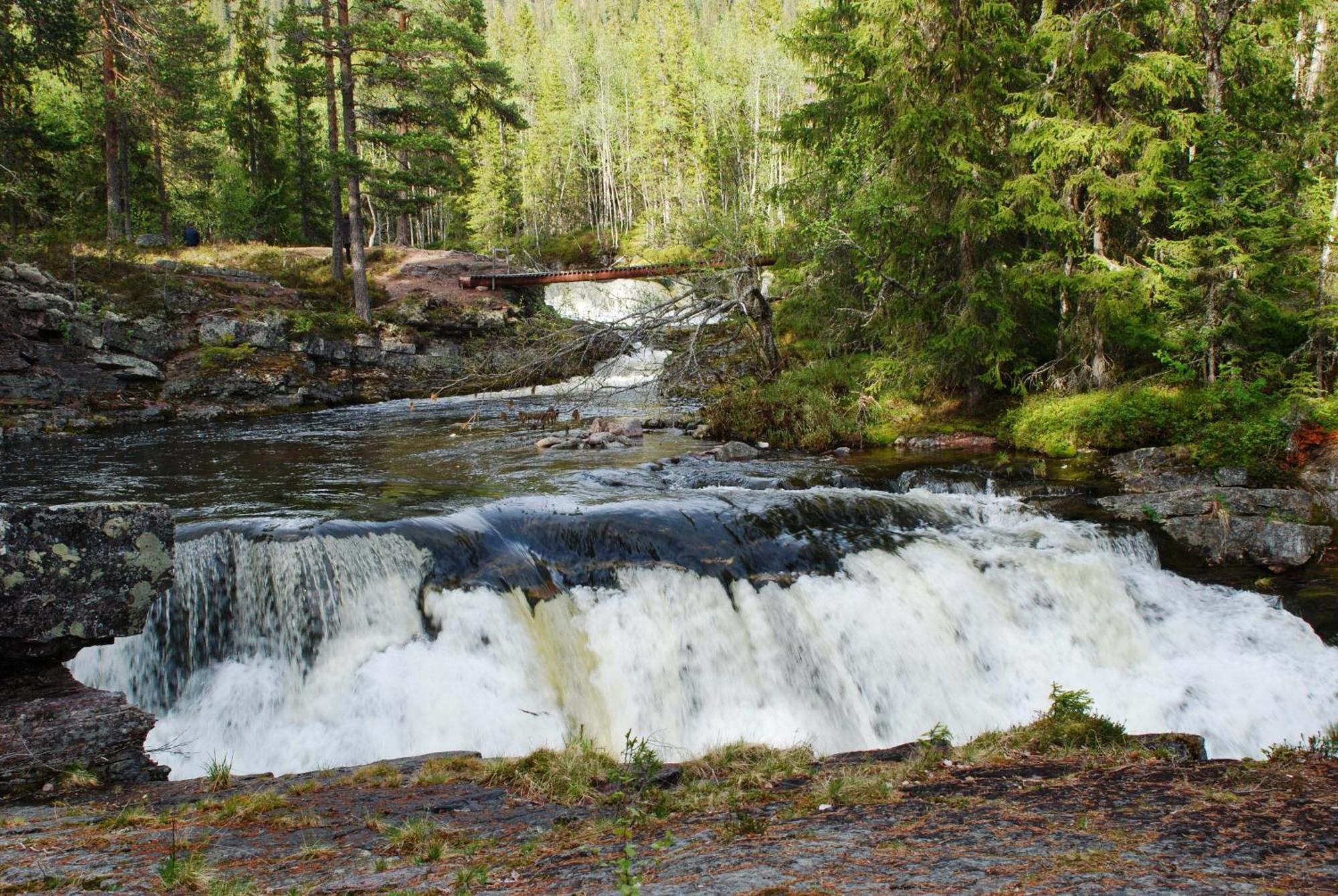 Hytte Anno 1721 Uten Internett, Strom, Vann - Men Med Rodmalt Utedo Ljordal ภายนอก รูปภาพ